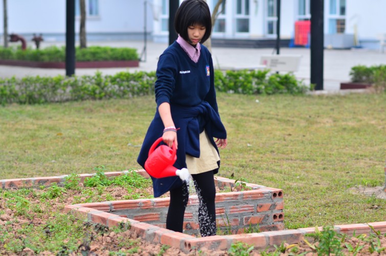 BIS Hanoi Primary