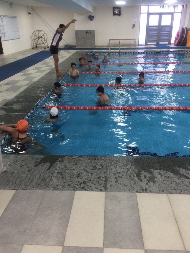 Swim Squad-min