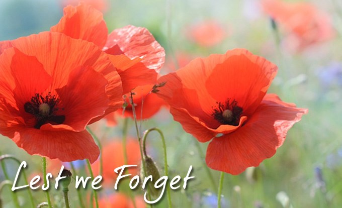 Poppy Appeal 2017