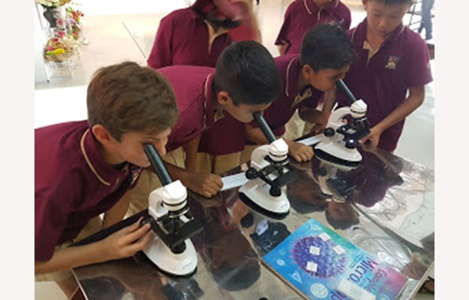 BIS Ho Chi Minh Mr Simon Higham weekly Update - Y5 Art Ex