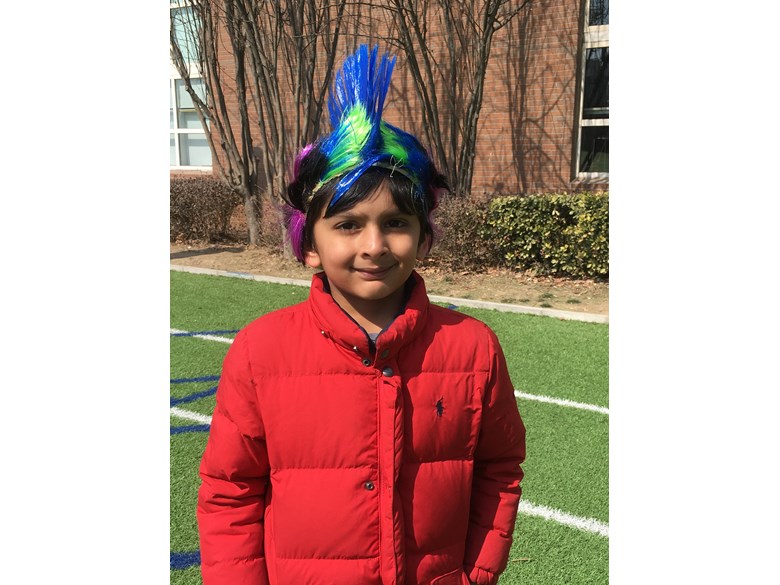 Crazy Hair Day