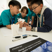 STEAM Curriculum Overview