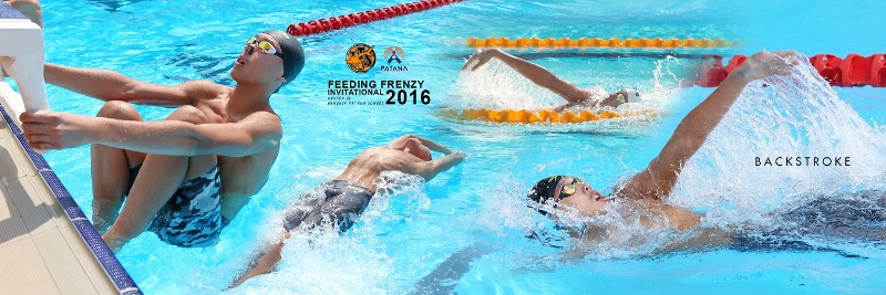 Jeremie Luong 2016 Patana Back (800x267)