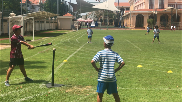 T-Ball (2)