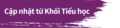 Cập nhật Tiểu học BVIS HCM 2018