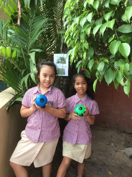 Our world-The Environment- Y2 (7)