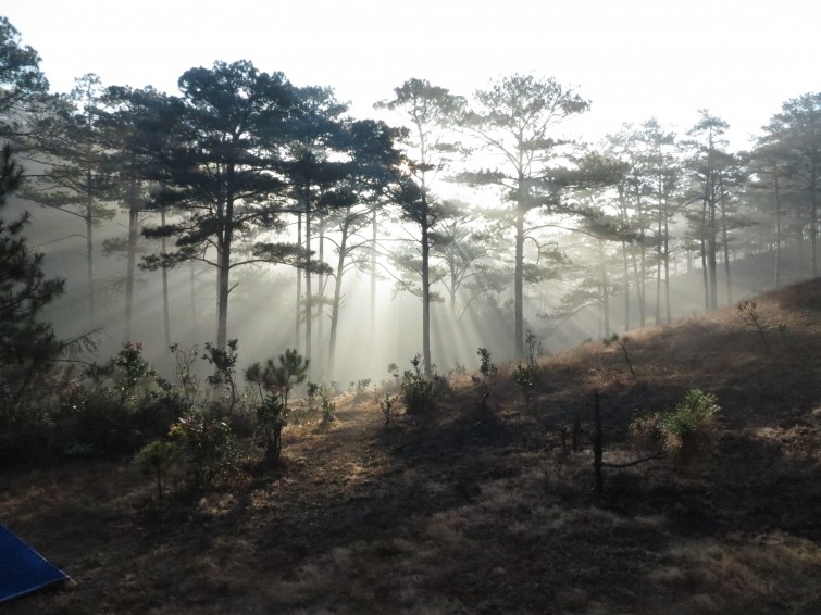 Waking up in places like this, in Dalat, can not be beaten - Quoc Huy