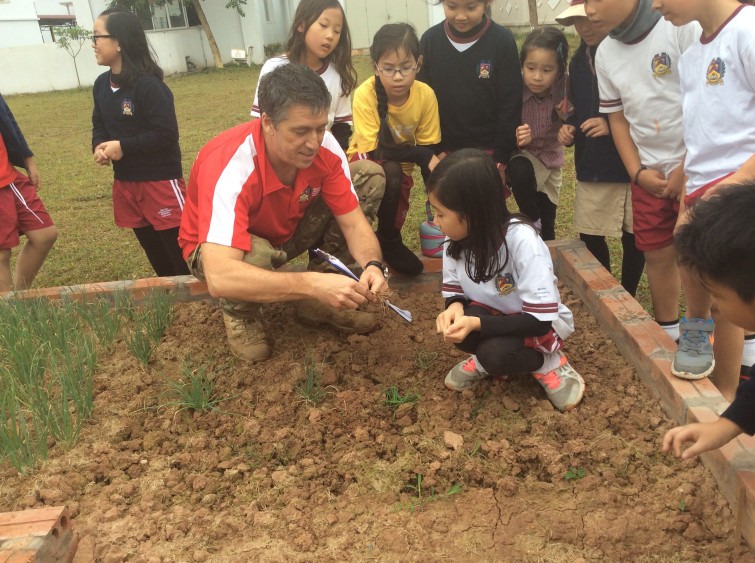 BIS Hanoi Primary