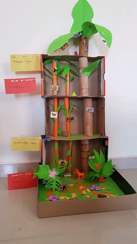 VSE Primary Work 2