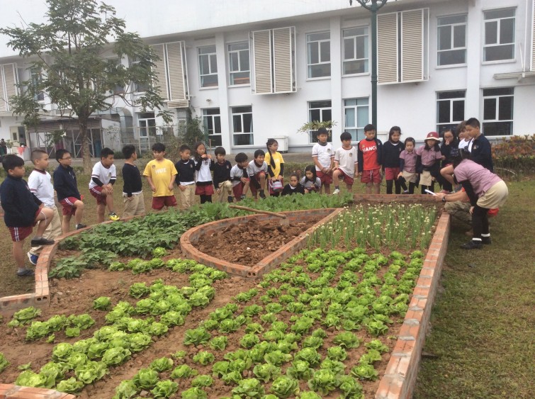 BIS Hanoi Primary
