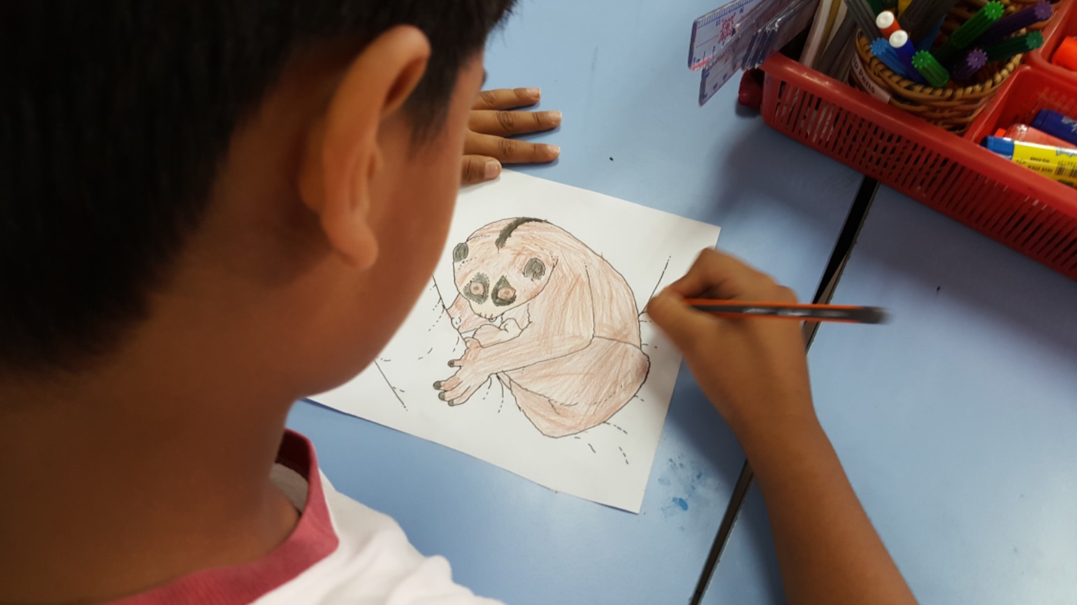 Year 4 Learn about Endangered Species in Vietnam (6)