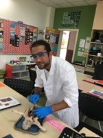 science19