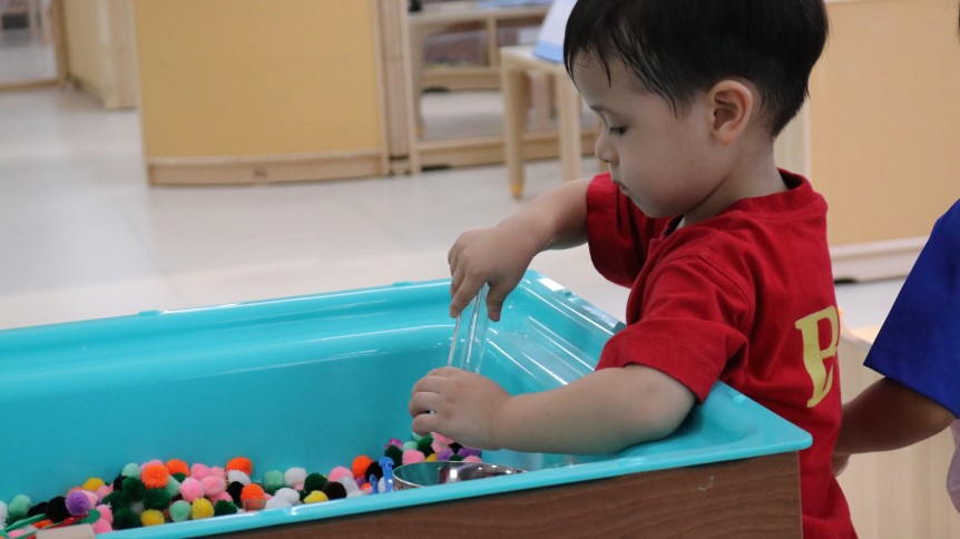 Physical Development Day 13