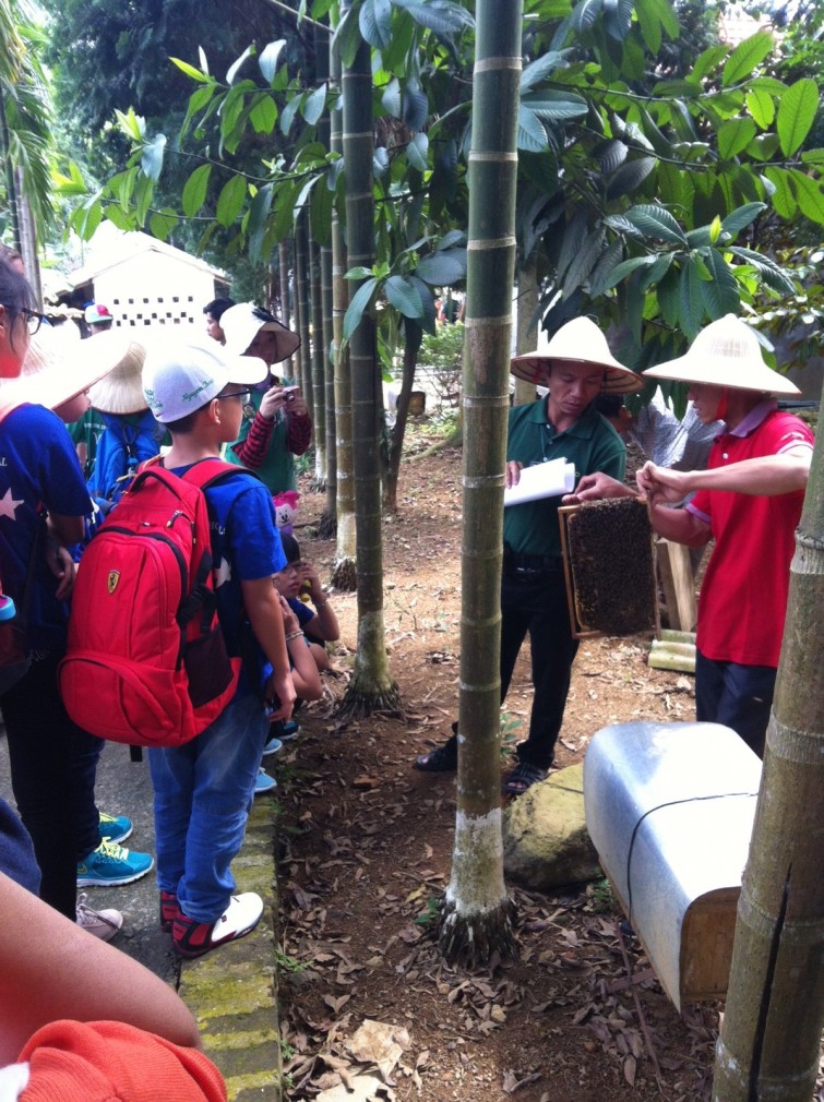 Year 7 Bavi Expedition