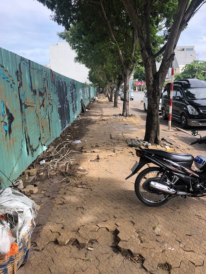 Clean Up Thao Dien