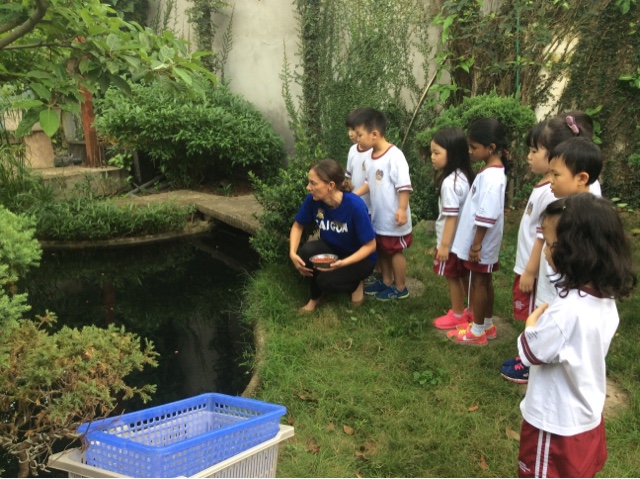 BIS Hanoi - Primary