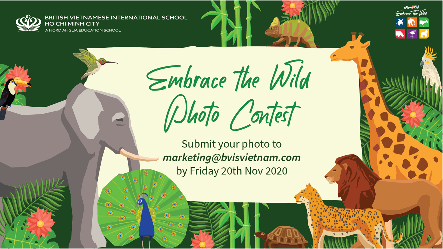 BVIS HCMC Embrace the Wild Photo Contest 2020