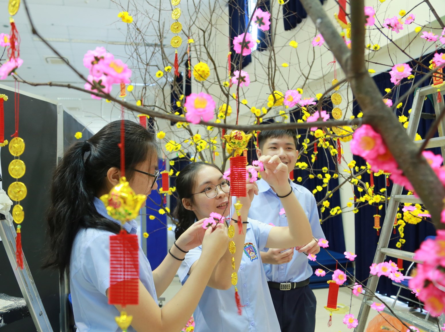 BVIS Tree Decoration 2019