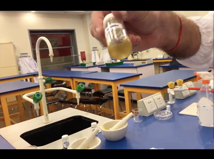 Science Virtual School Experience