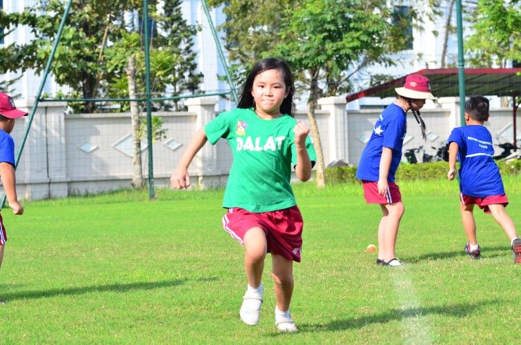 BIS Hanoi - Primary
