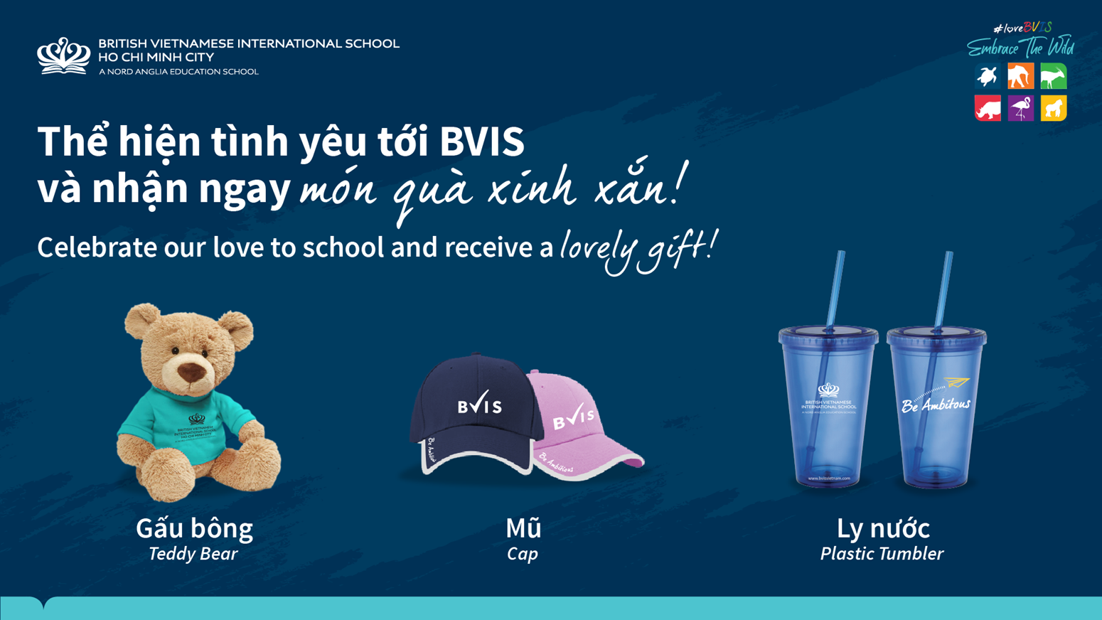Love BVIS Review