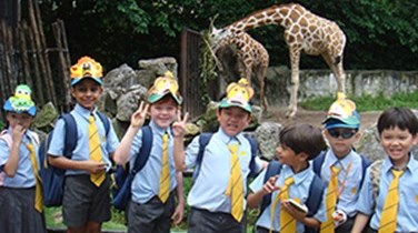 School trip with giraffes