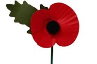 BIS Ho Chi Minh Mr Simon Higham weekly Update - Poppy