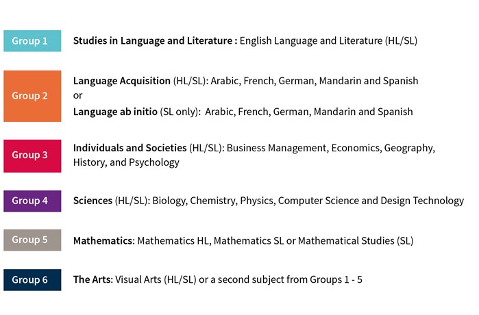 IB DIPLOMA Programme (chart)