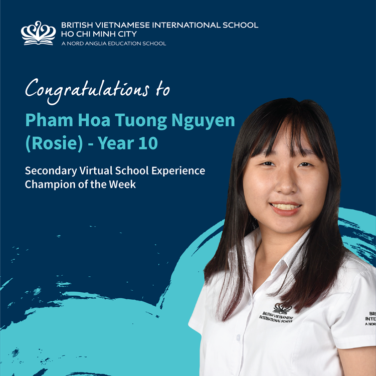 BVIS HCMC VSE Champion of the week