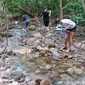 IB Biology and ESS Field Trip to Pulau Tioman