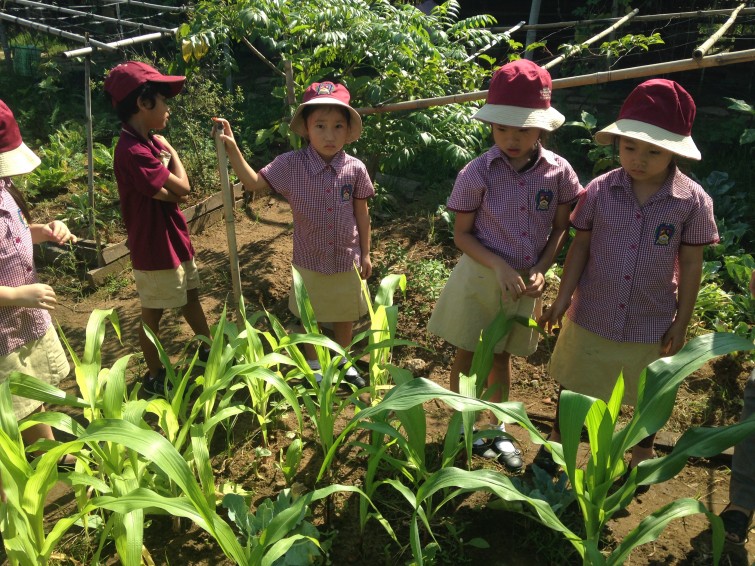 Year 1 Family Garden