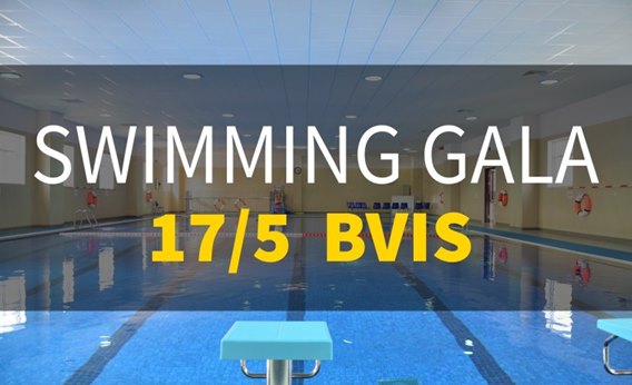 BVIS Swimming gala 17/5 introduce