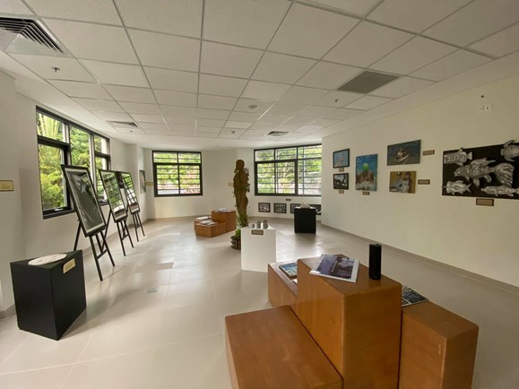 BIS_IBDP Art Exhibition 2020