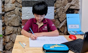 BVIS HCMC Primary Virtual Learning 