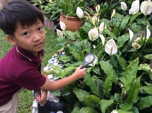 Our world-The Environment- Y2 (4)