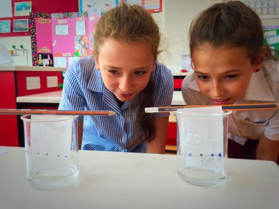 2 students in lab