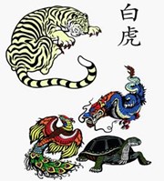 White tiger