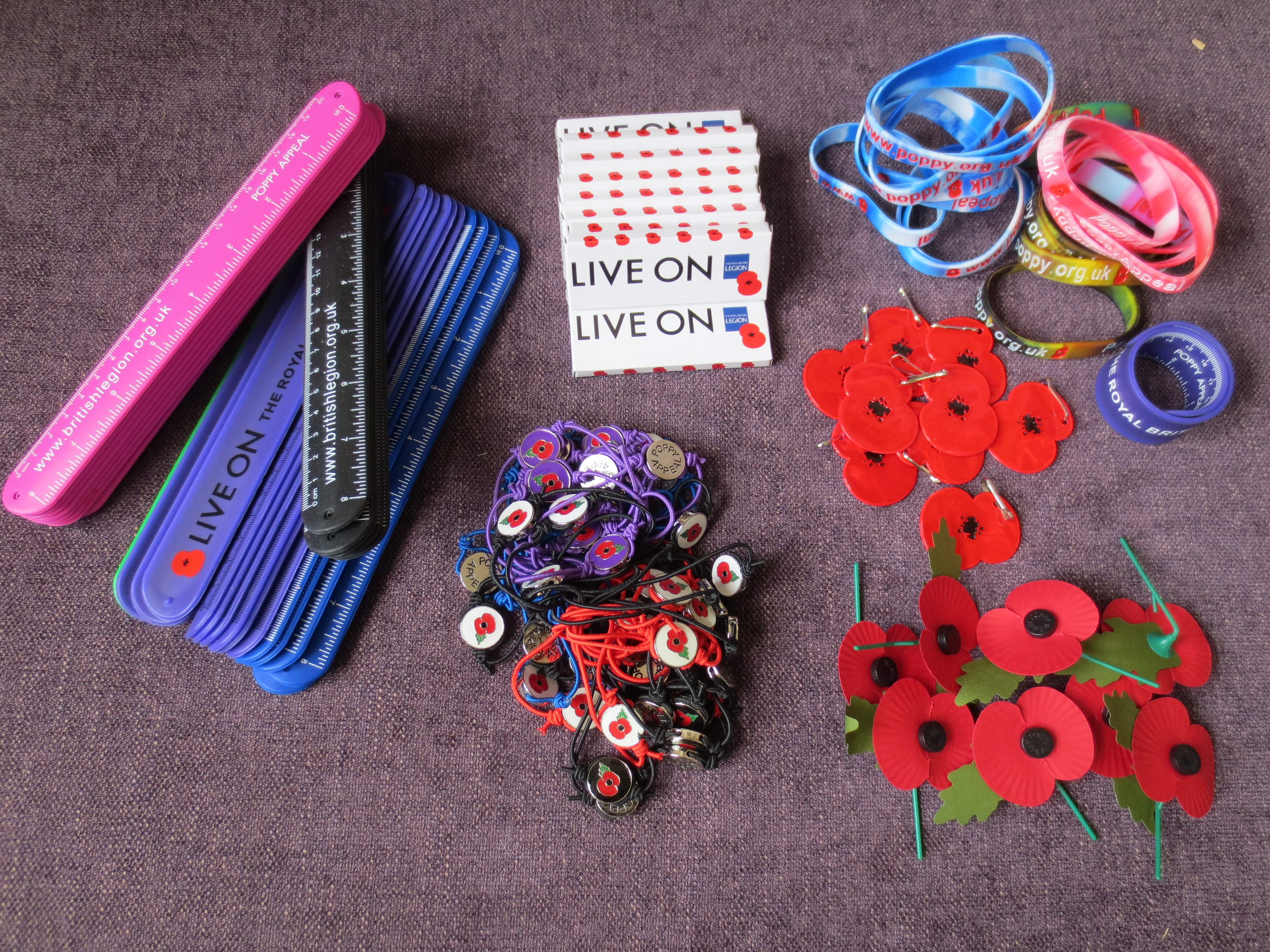 Poppy Appeal at British International School HCMC