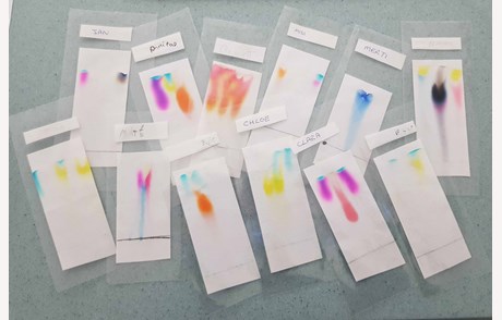 chromatography experiment year 7