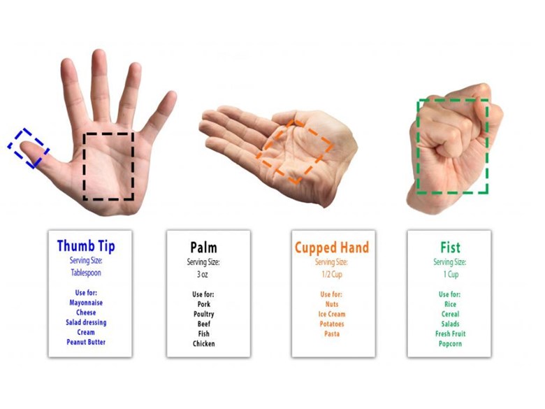 Health And Wellbeing 2019 A Handy Guide To Portion Size