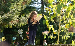 college champittet academics forest school gallery image