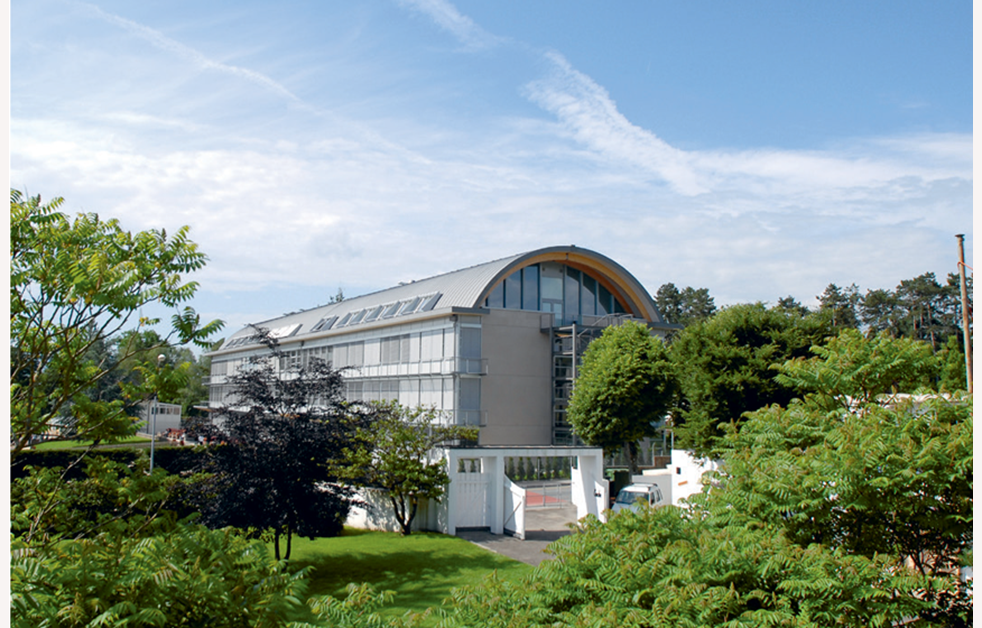Gemischtrassiger Taetowierte College Partnertausch
