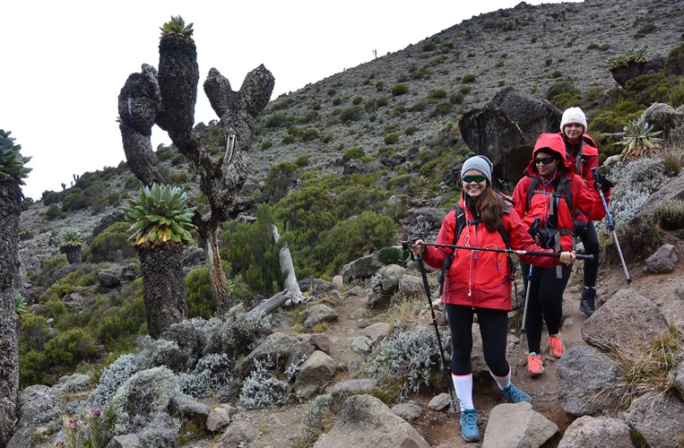 Beau Soleil_Kilimanjaro