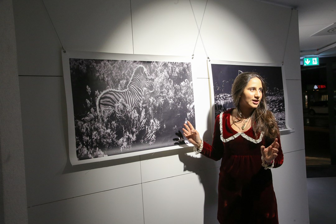 Beau Soleil art exhibition (2)
