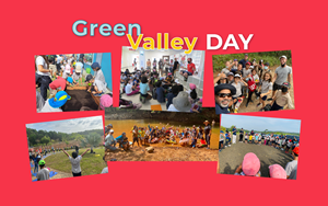 Green Valley Day 1