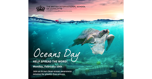 BISC Launches World Oceans Awareness Day for 2020 Global Challenge