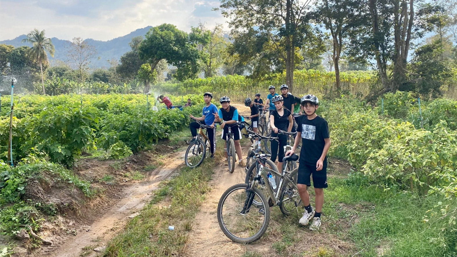 Regents International School Pattaya | IB and A-Level School - Feature Cards Pattern