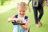 Academic Excellence | St Andrews - Visual Time Line Tabs