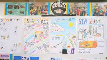 “Bucket Rice” - Cultivation of Thai Jasmine Rice - Bucket-Rice