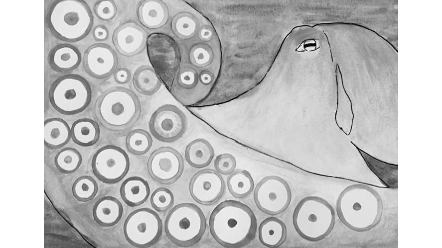 Copy of Maki 26 stretch jpeg